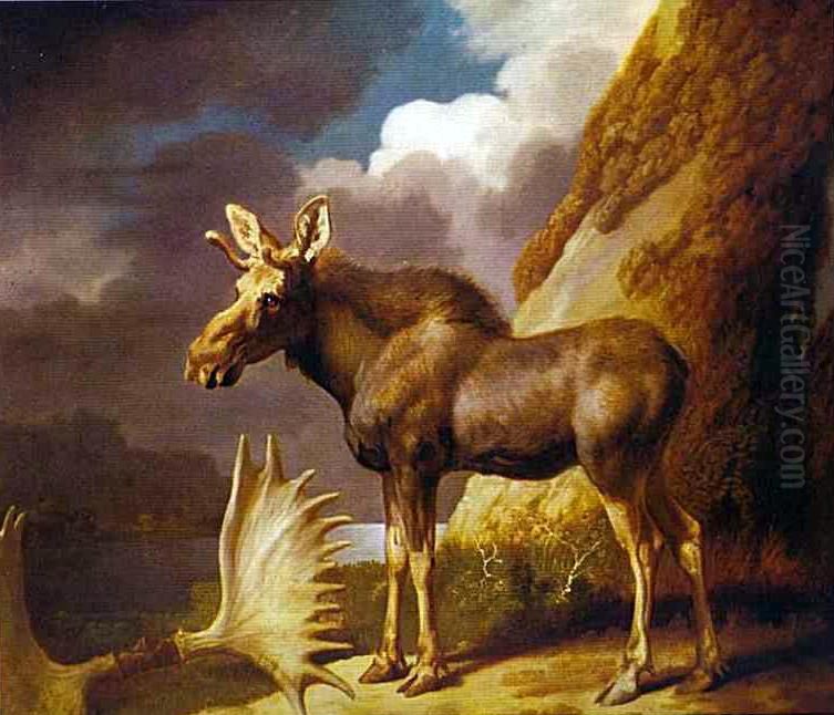 The Moose Oil Painting by George Stubbs
