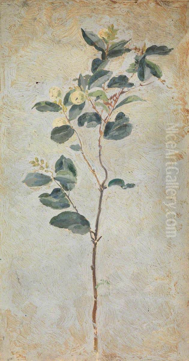 A plant (recto) A profile of a girl (verso) Oil Painting by Beatrice Whistler