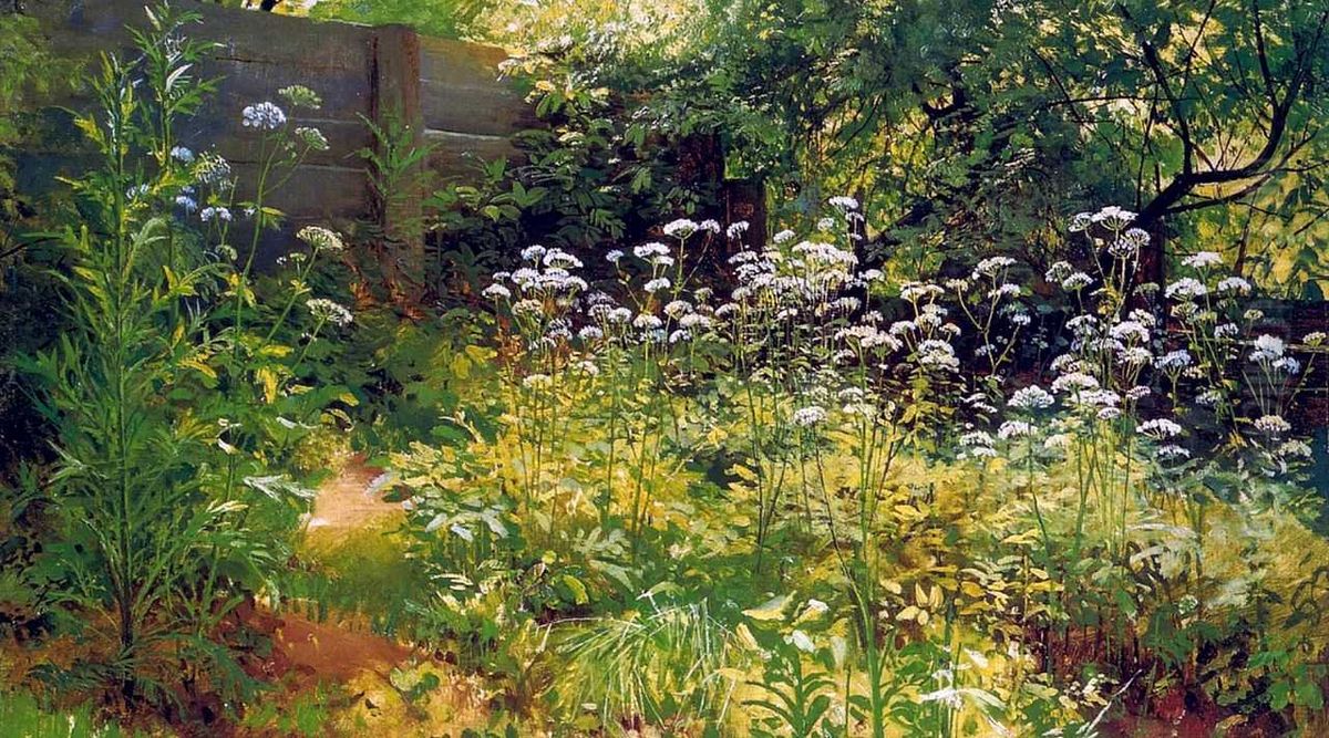 Corner of overgrown garden. Ground elder Oil Painting by Ivan Shishkin