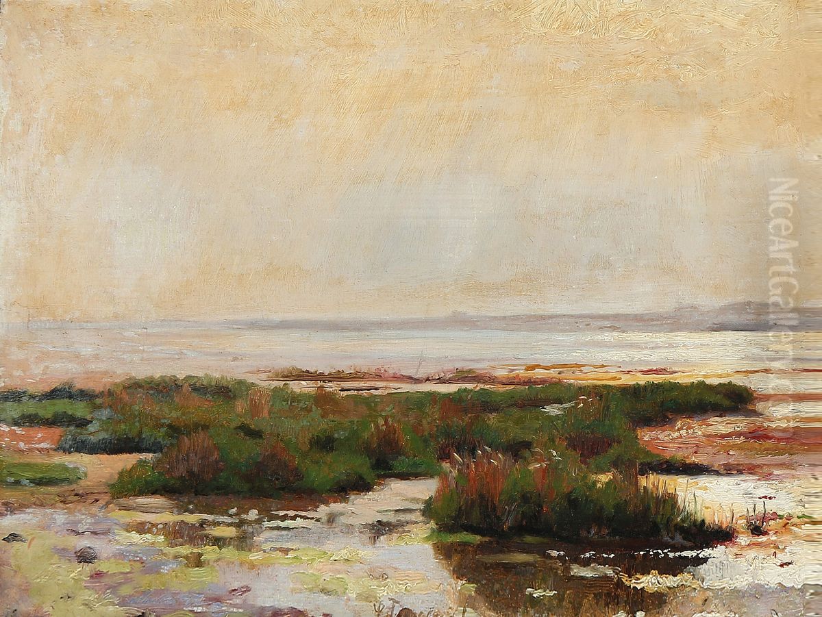 Sunshine on a shallow coast Oil Painting by Laurits Tuxen