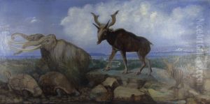 Pleistocene Fauna of Asia