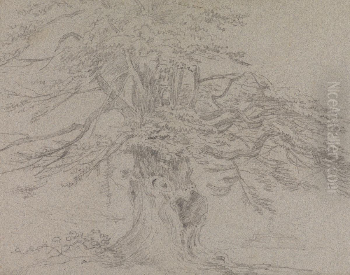 Tree Study Oil Painting by Sir George Beaumont, 7th Baronet