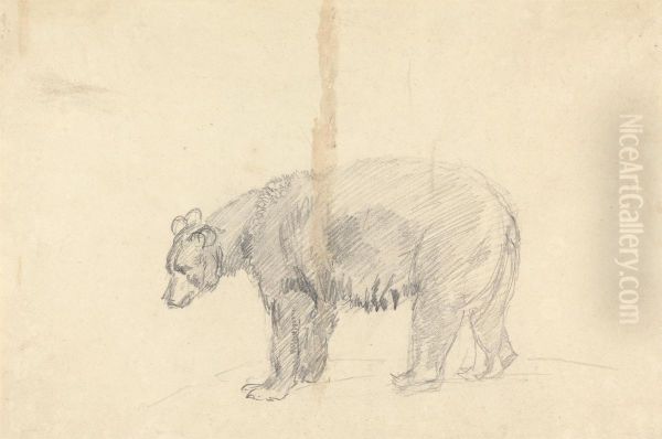 Study of a Bear Oil Painting by Sawrey Gilpin