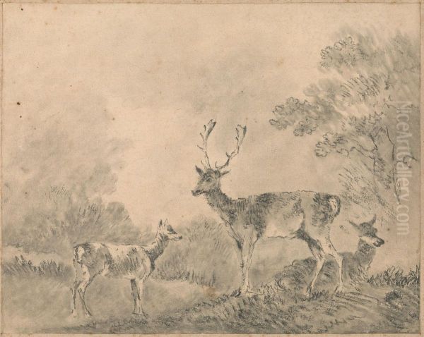 Stag, Doe and Fawn in a clearing Oil Painting by Sawrey Gilpin