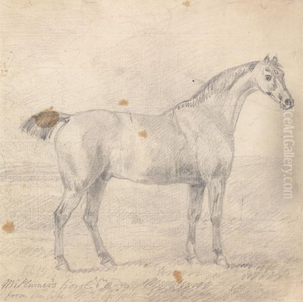 Mr. Plumer's Horse Oil Painting by Sawrey Gilpin