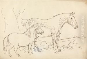 Horse and Pony