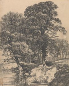 A Wooded Landscape with Pool