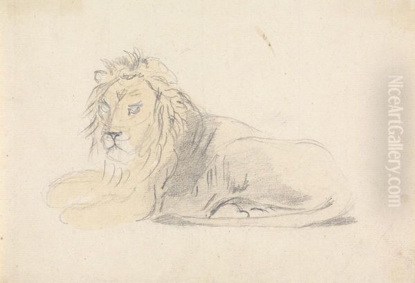 Study of a Lion Oil Painting by Sawrey Gilpin