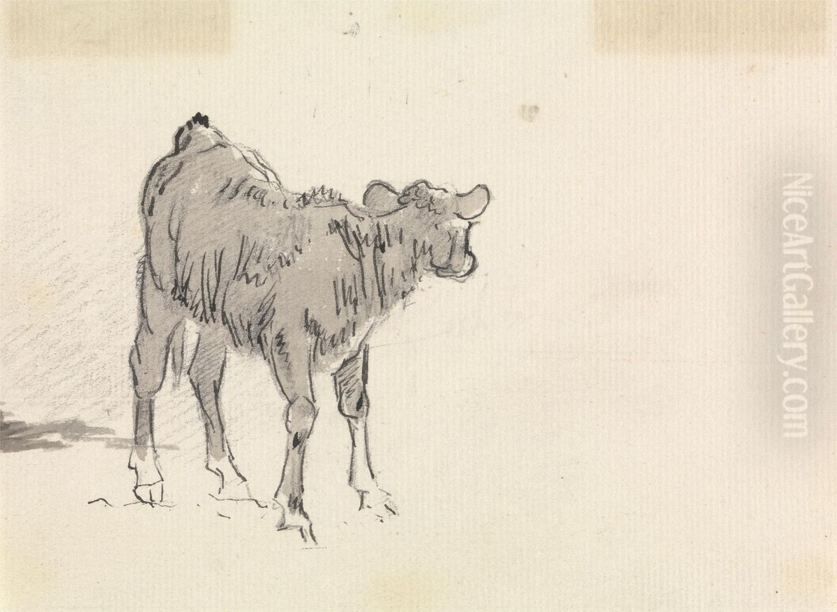 Study of a Calf Oil Painting by Sawrey Gilpin