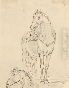 Study of a Saddled Horse and Horse's Head