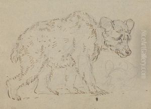 Study of a cantering horse