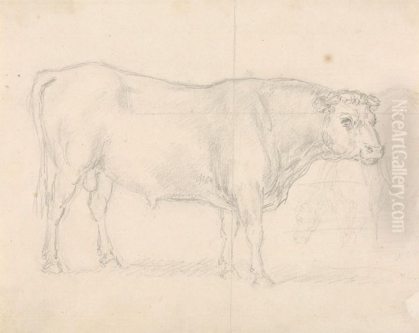 Study of a Bull Oil Painting by Sawrey Gilpin