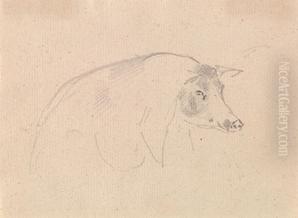 Study of a pig Oil Painting by Sawrey Gilpin