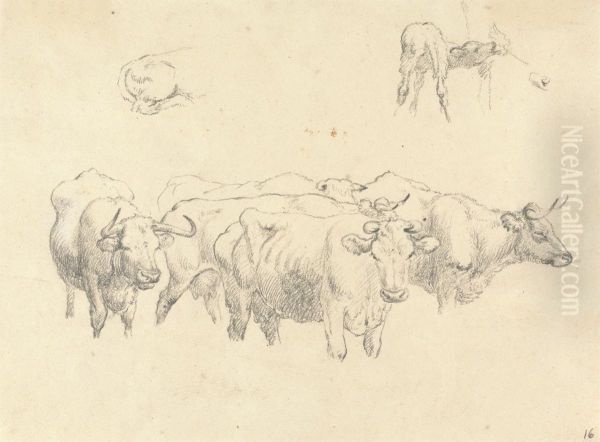 Study of Cows with Calf Oil Painting by Robert Hills