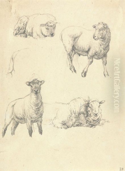 Sheep Oil Painting by Robert Hills