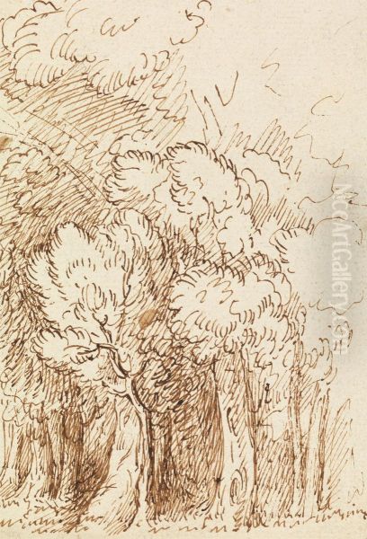 Study of Trees Oil Painting by Benjamin West