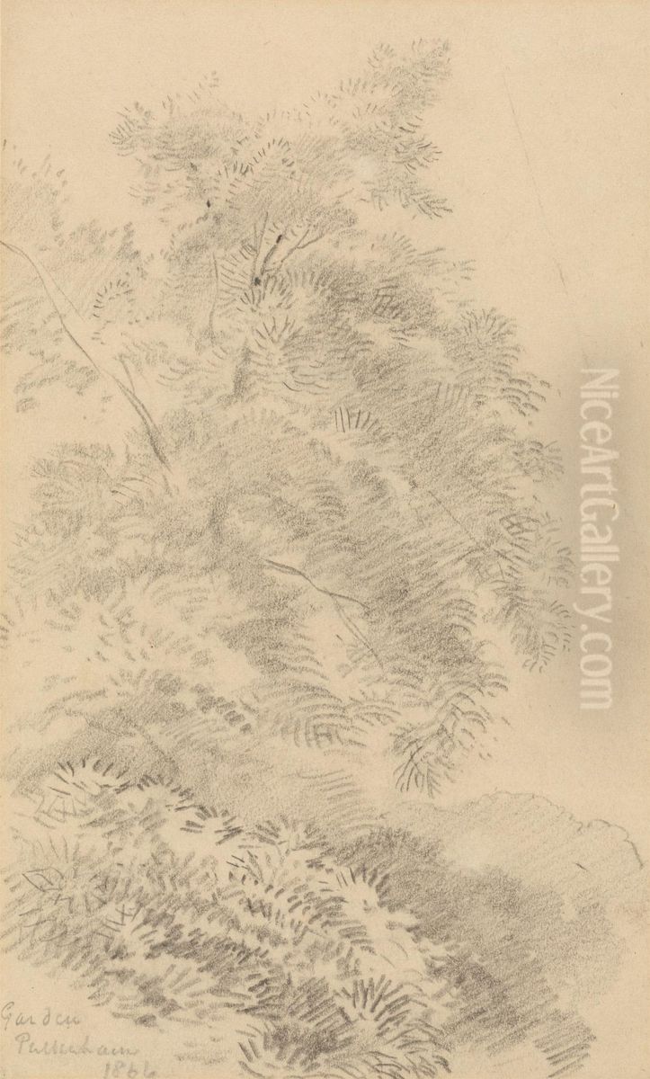 Study of a Tree on a Grassy Bank Oil Painting by George Richmond