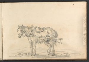 From Nature (A work horse)