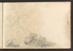 (A study of large rocks and trees) (A study of large rocks and trees)