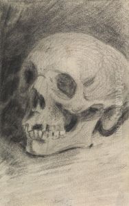 Study of a Skull