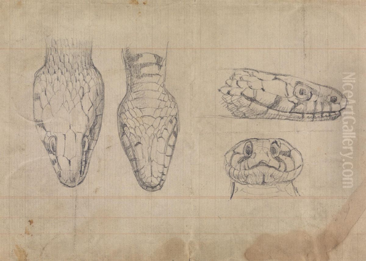 Study of the Head of a Snake Oil Painting by Robert Smirke