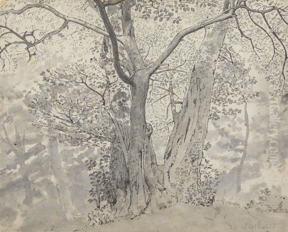 Tree Study Oil Painting by Thomas Stothard