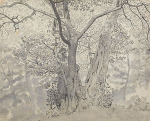 Tree Study