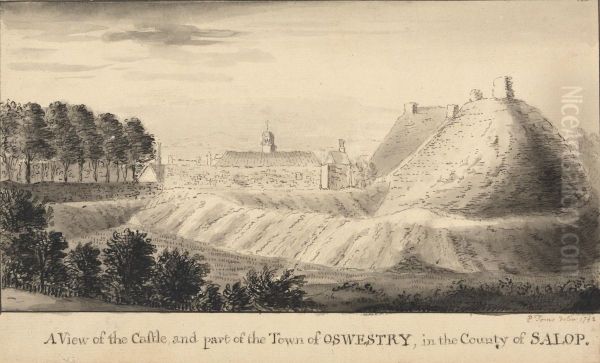 A View of the Castle and Part of the Town of Oswestry, in the County of Salop Oil Painting by Peter Toms