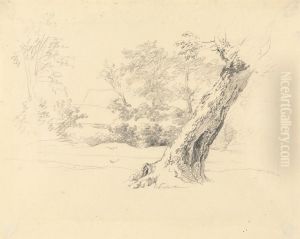Tree Study