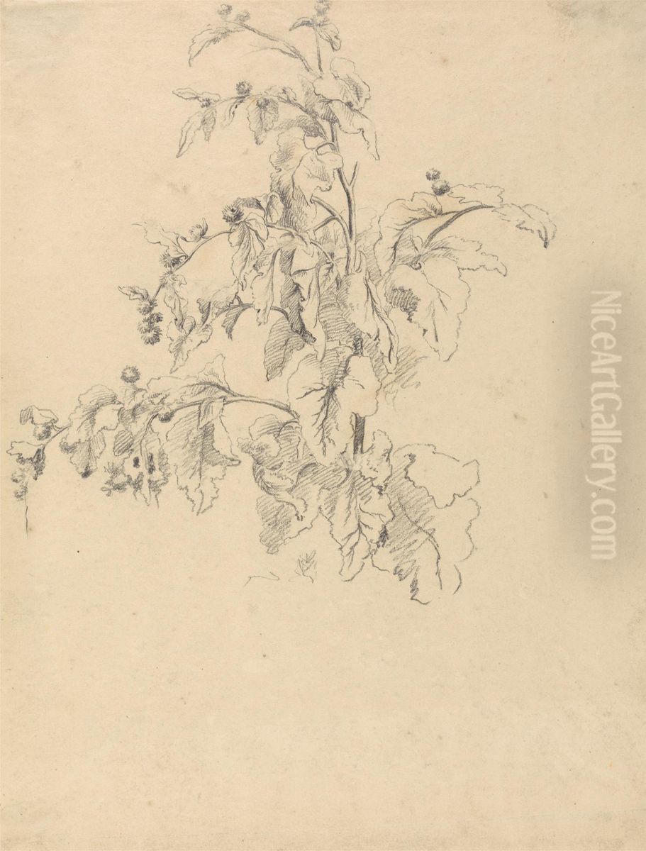 Study of Foliage Oil Painting by Robert Hills