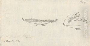 Studies of Serving Vessels From Antiquity