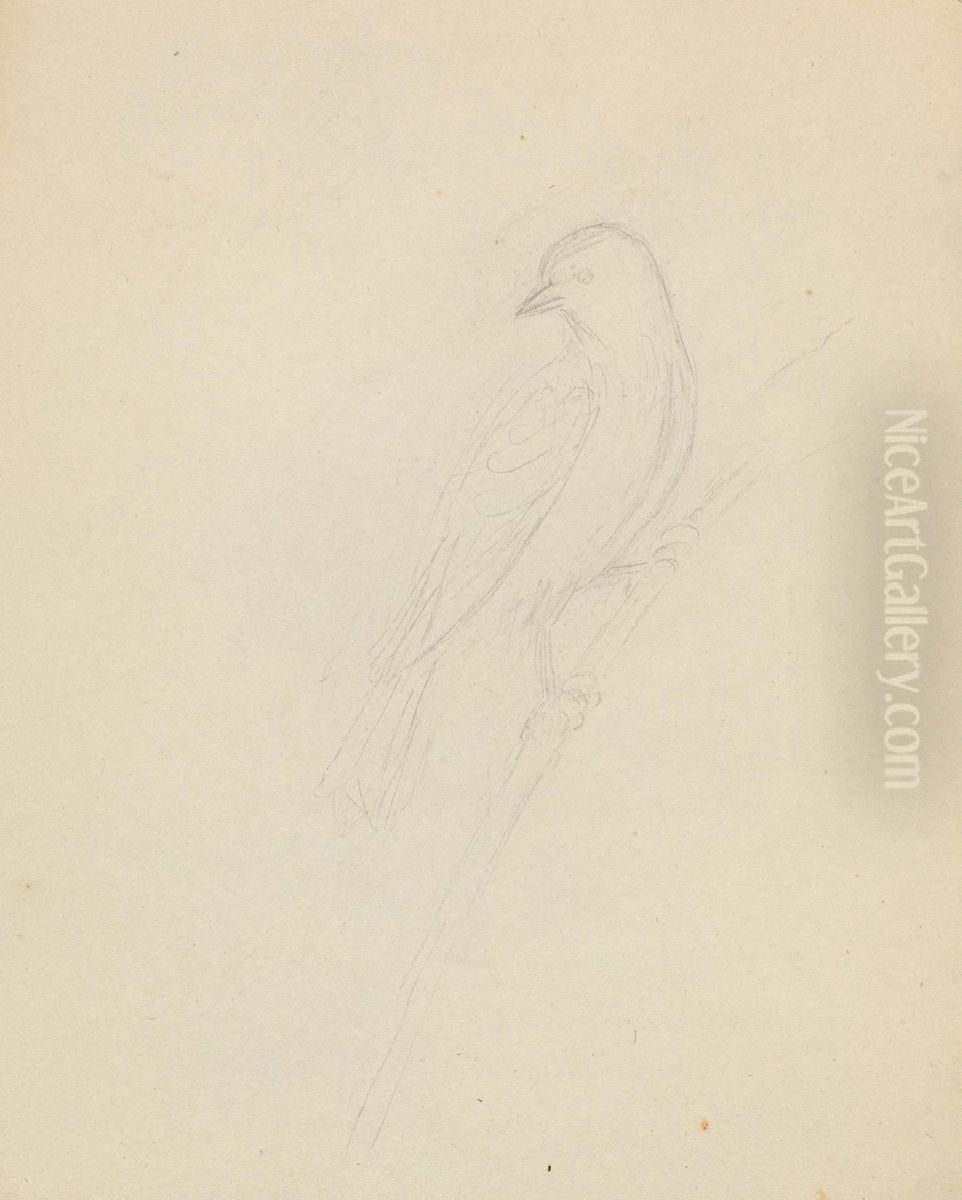 A Bird Oil Painting by James Sowerby