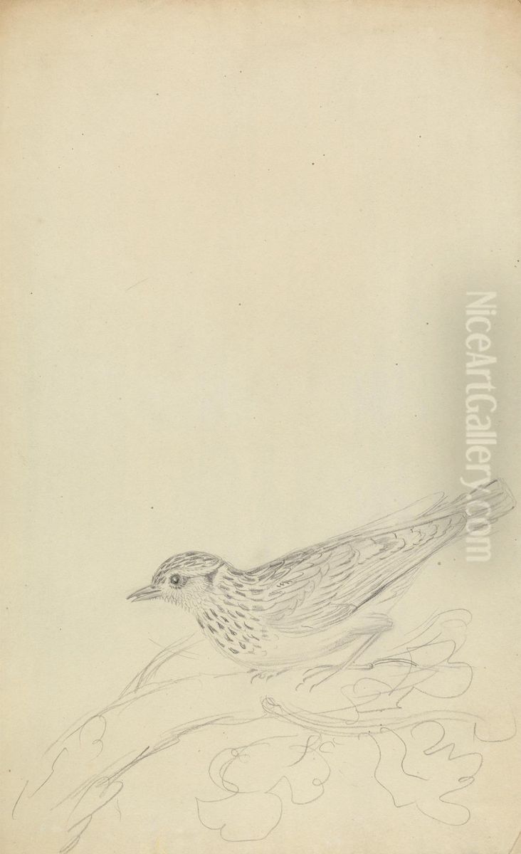 A Wood Lark Oil Painting by James Sowerby