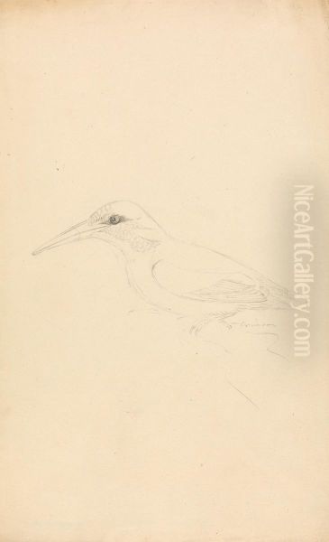 A Kingfisher Oil Painting by James Sowerby