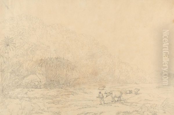 View in the Island of Pulo Condore Oil Painting by John Webber