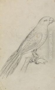 A Parrot