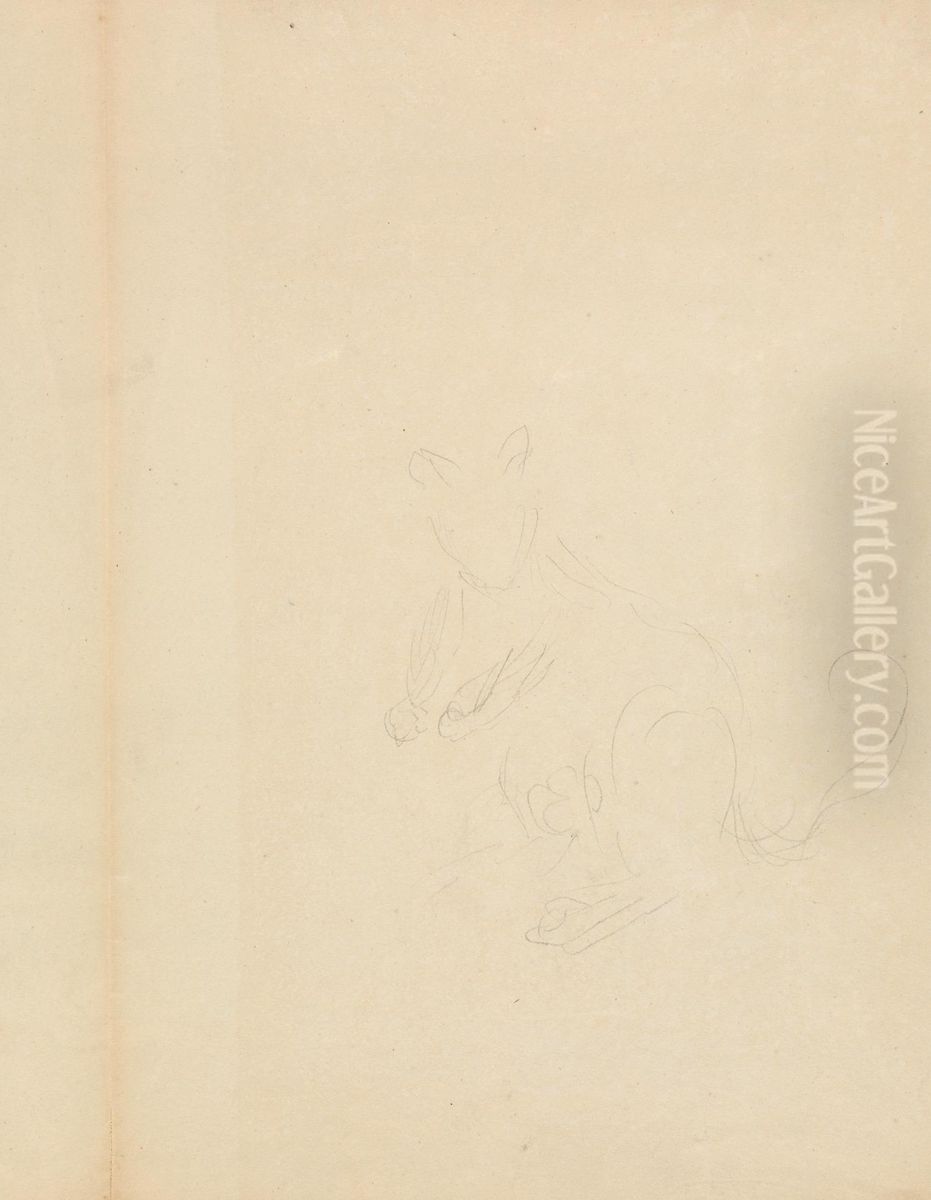 Slight Sketch of a Kangaroo Oil Painting by James Sowerby