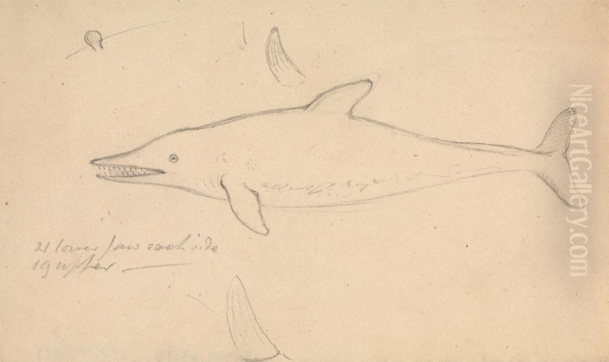 A Porpoise? Oil Painting by James Sowerby