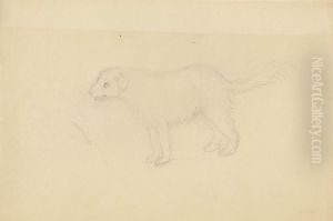 A Dog