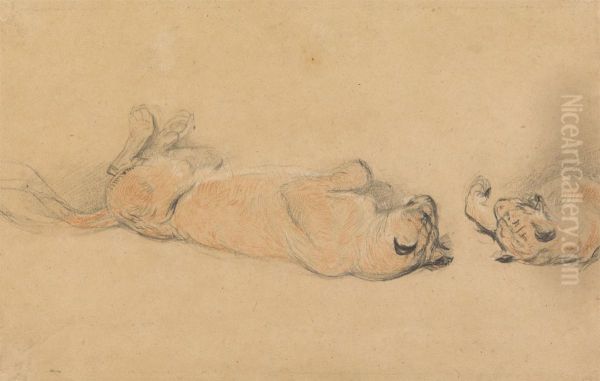 Lions at Play Oil Painting by Edwin Landseer
