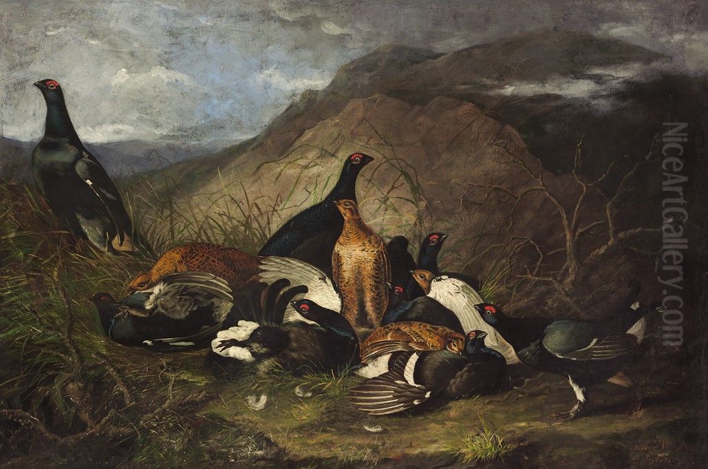 Black Cocks Oil Painting by John James Audubon