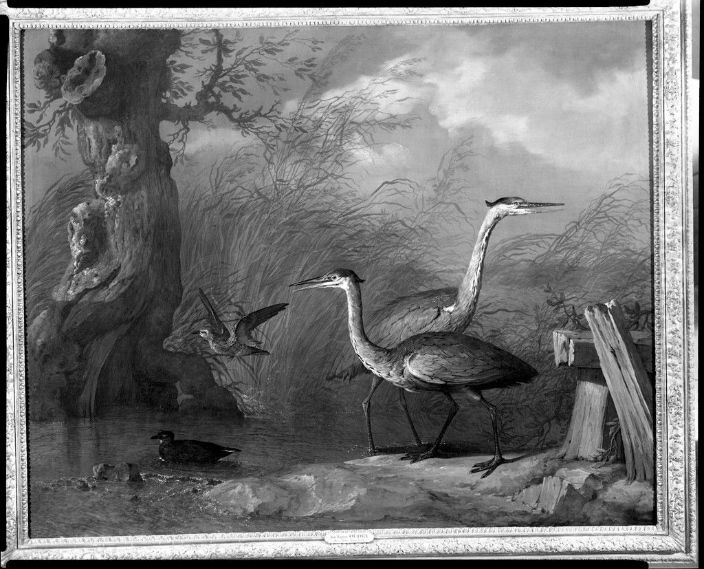 The Blue Herons Oil Painting by Jean-Baptiste Oudry