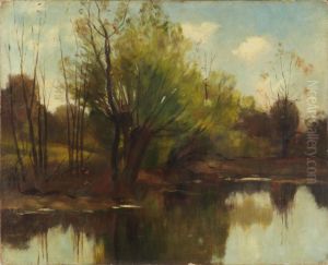 Pond in the Woods