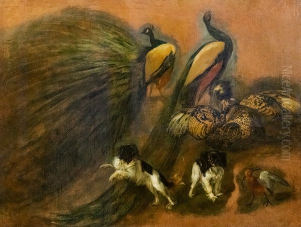 Peacocks, dogs and birds Oil Painting by Pieter Boel