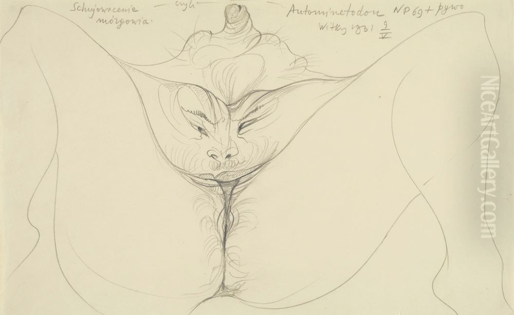 Schujowacenie mozgowia czyli Autominetodon Oil Painting by Stanislaw Ignacy Witkiewicz (Witkacy)