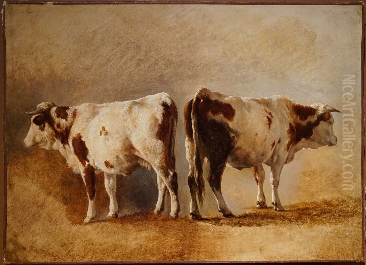 Cow study Oil Painting by Jacques Raymond Brascassat