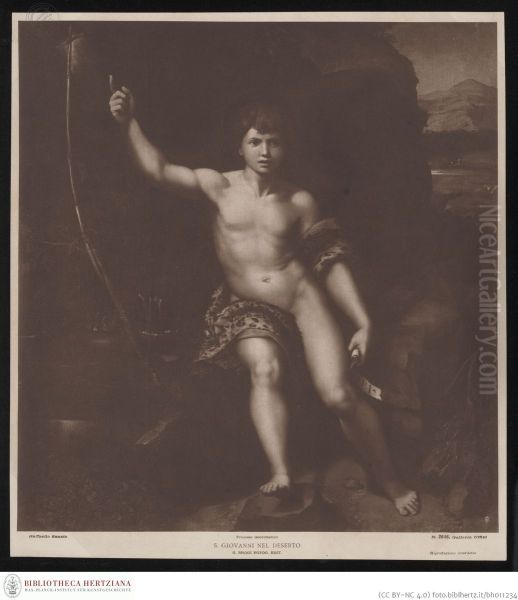 John the Baptist in the wilderness Oil Painting by Raphael