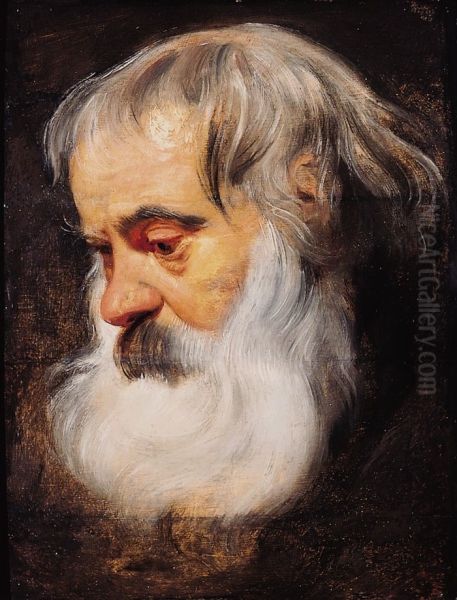 Portrait of an Elderly Man Oil Painting by Peter Paul Rubens