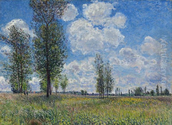 The Meadow at Veneux-Nadon Oil Painting by Alfred Sisley