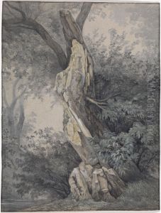 Forest Interior